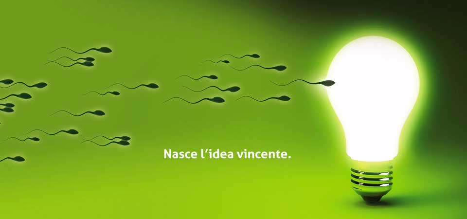 ecommerce idea vincente